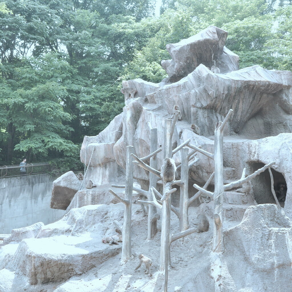 松本市アルプス公園の写真5