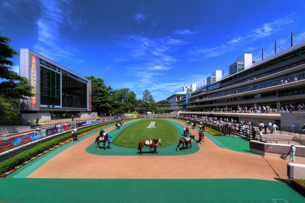 東京競馬場の写真9