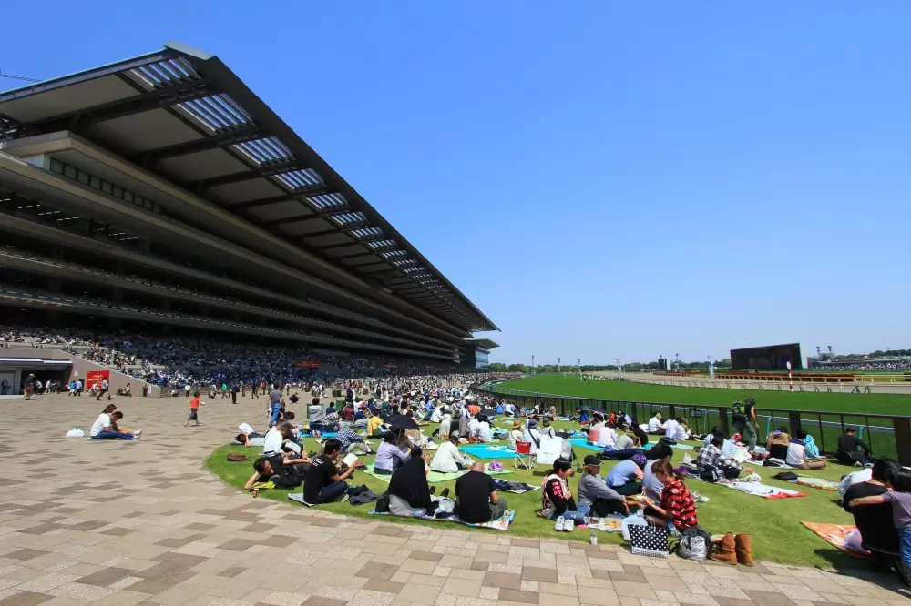 東京競馬場の写真1