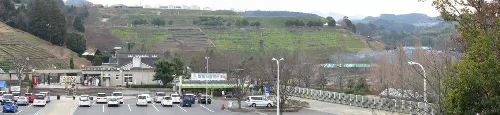 富田林市農業公園サバーファームの写真1