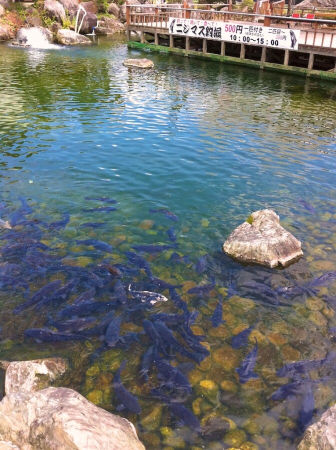 道の駅　阿賀の里の写真1