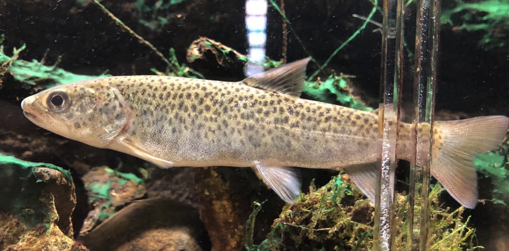 おたる水族館の写真3