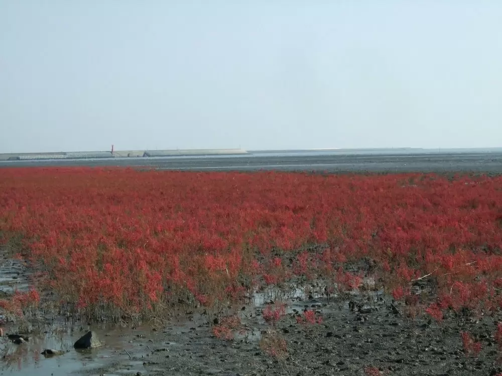 干潟よか公園の写真1