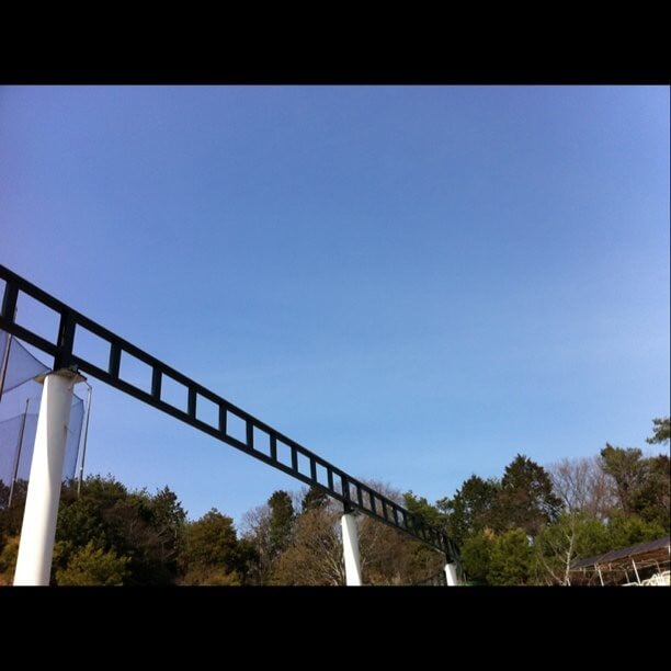 浜北森林アスレチックの写真2