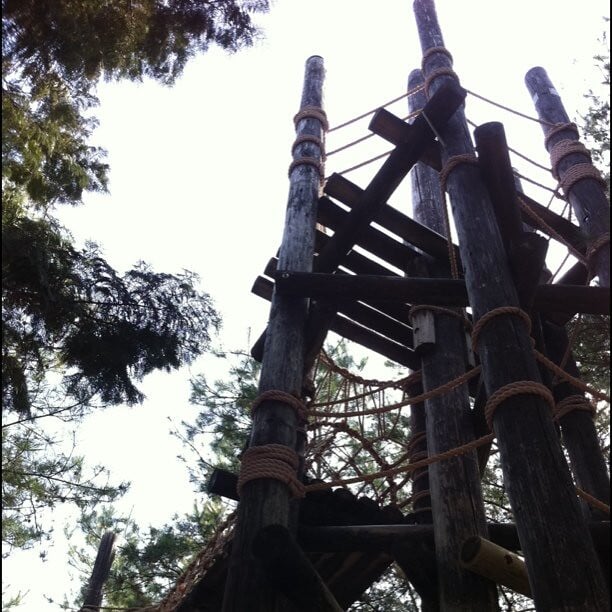 浜北森林アスレチックの写真3