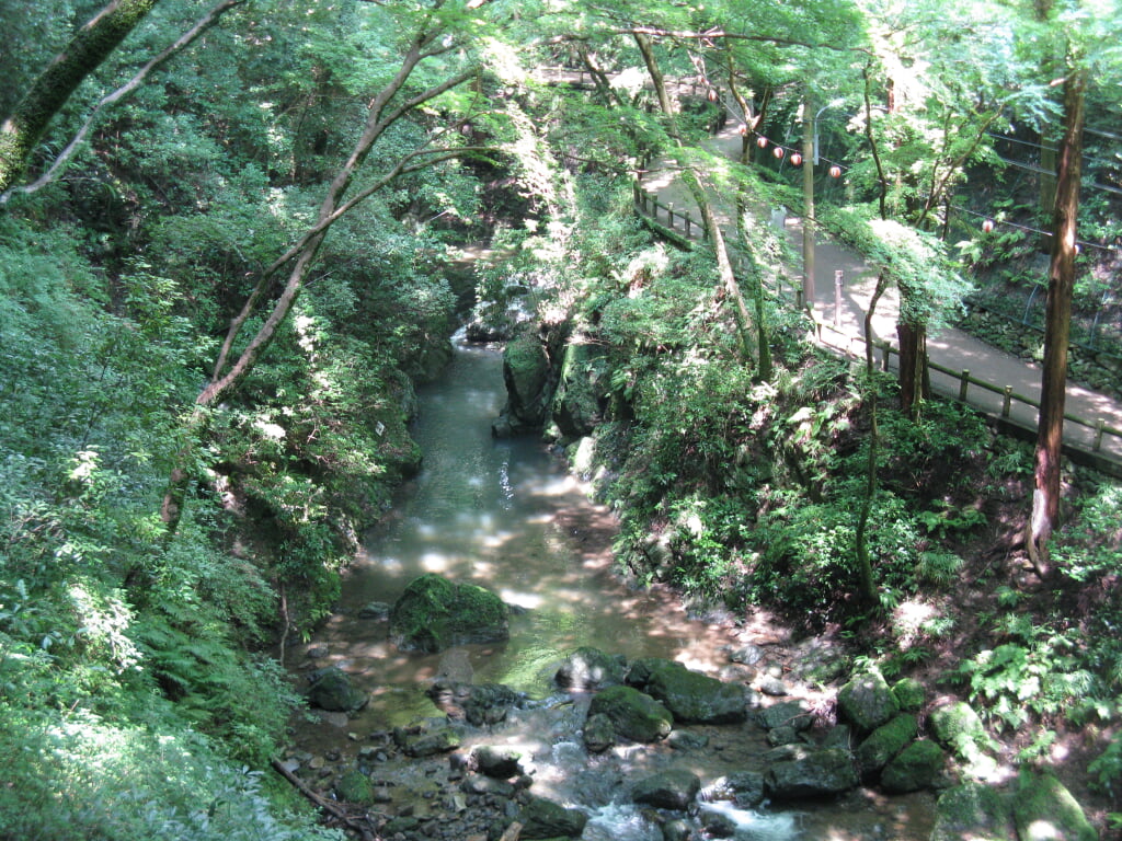 箕面公園の写真4