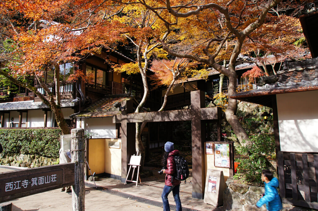 箕面公園の写真10