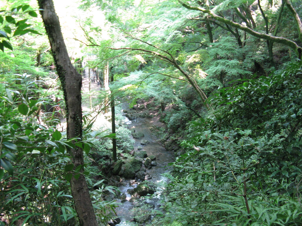 箕面公園の写真13