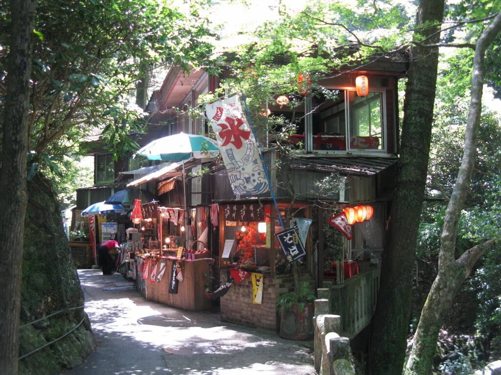 箕面公園の写真14