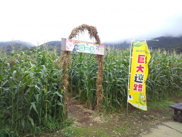 酪農王国オラッチェの写真2