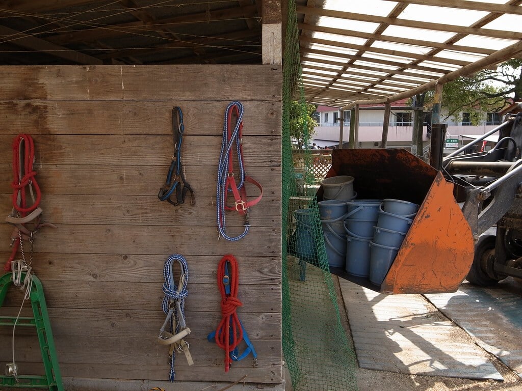 愛知牧場の写真4