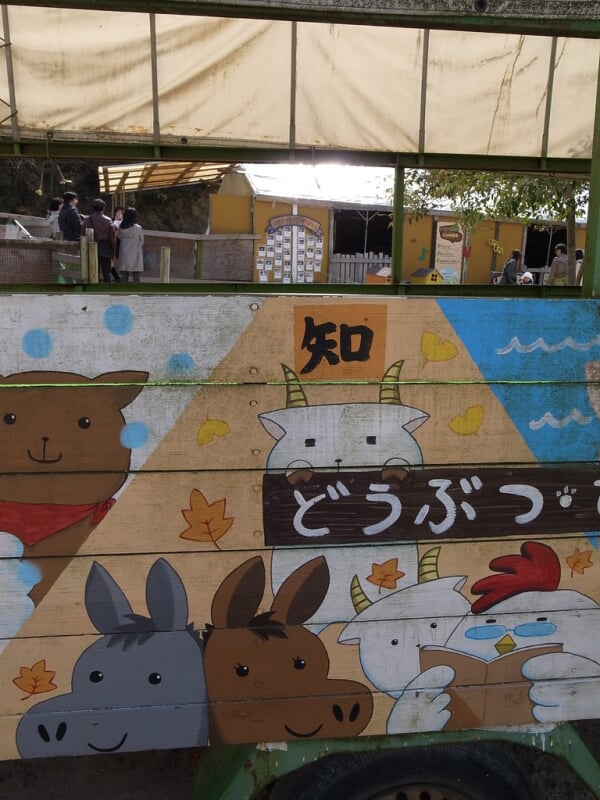 愛知牧場の写真8