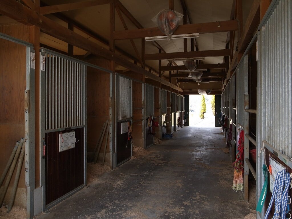 愛知牧場の写真9