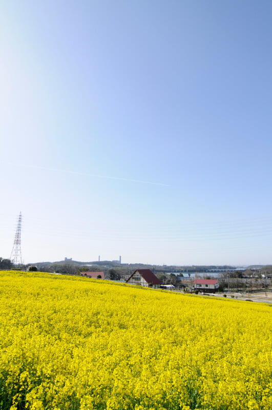 愛知牧場の写真11