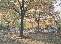 中原平和公園の写真1