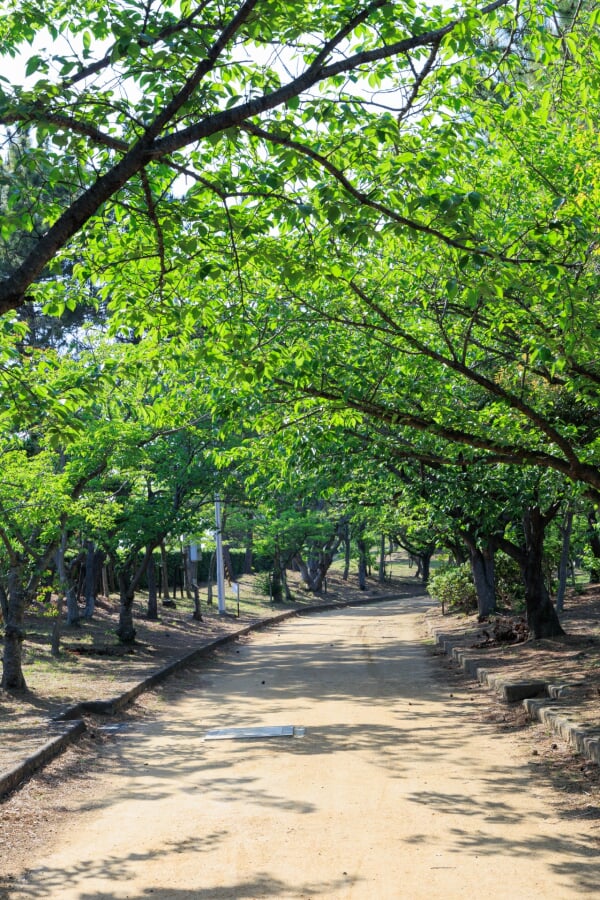 明石海浜公園の写真5