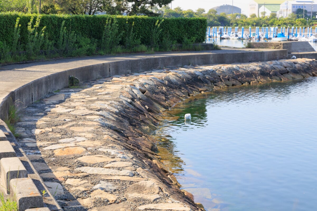 明石海浜公園の写真7
