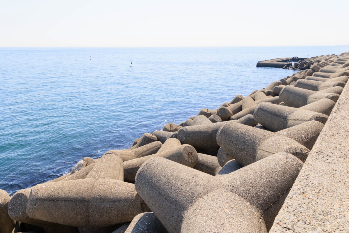 明石海浜公園の写真8
