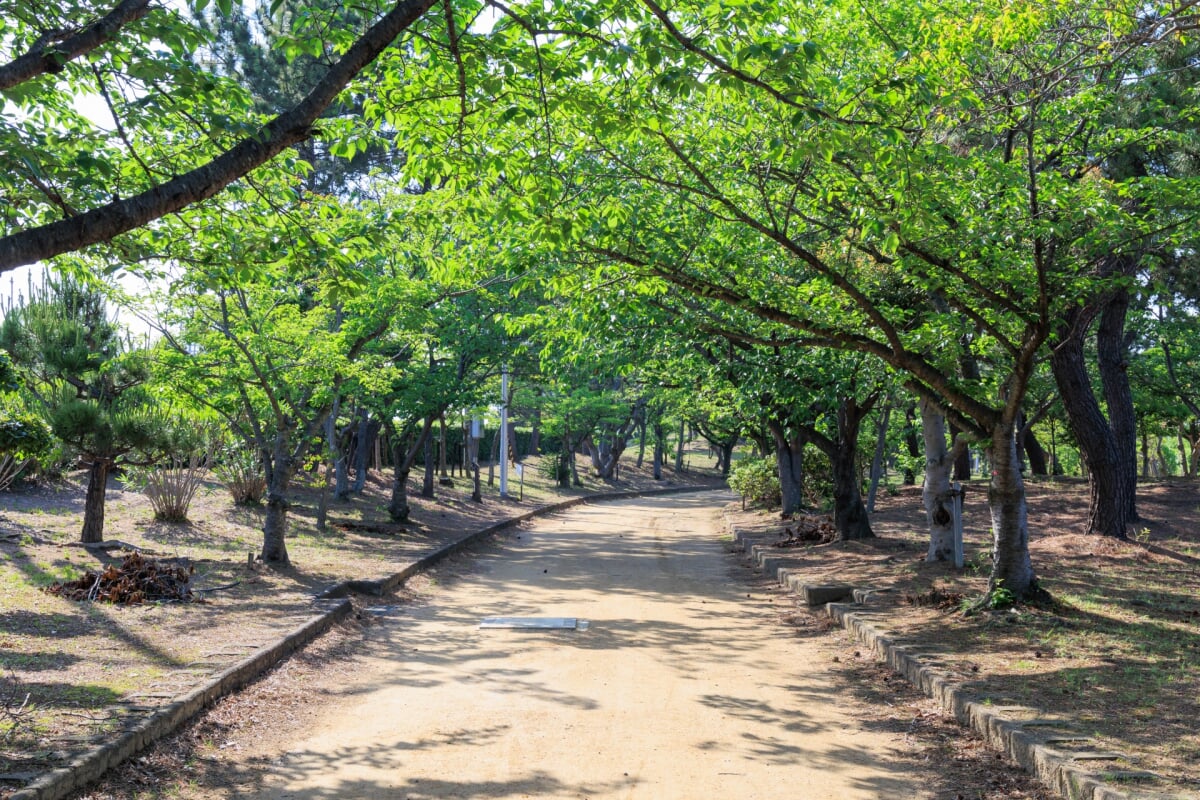 明石海浜公園の写真1