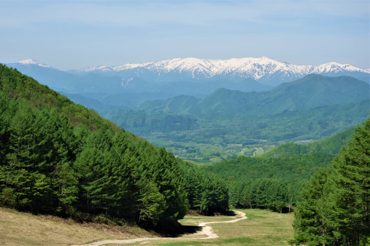 会津高原たかつえスキー場の写真2