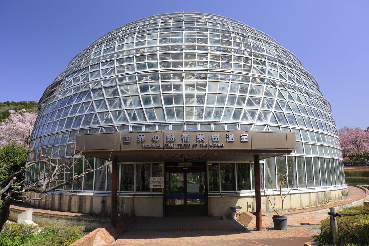 東谷山フルーツパークの写真4