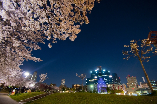 扇町公園の写真2