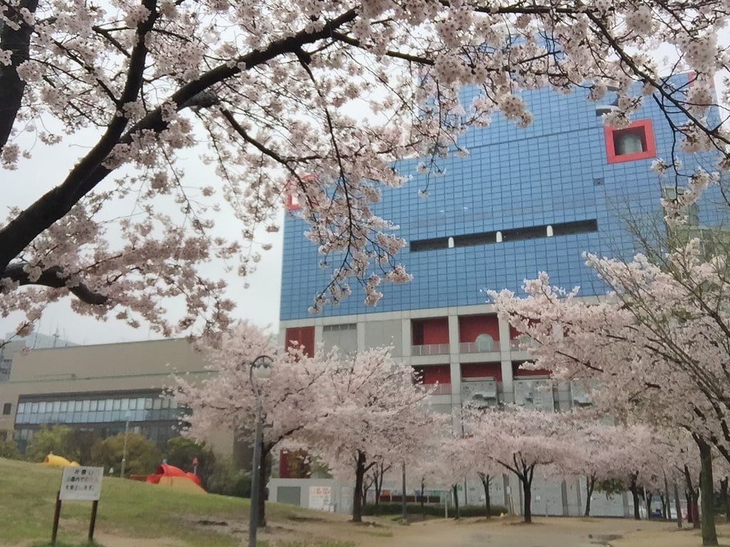 扇町公園の写真10