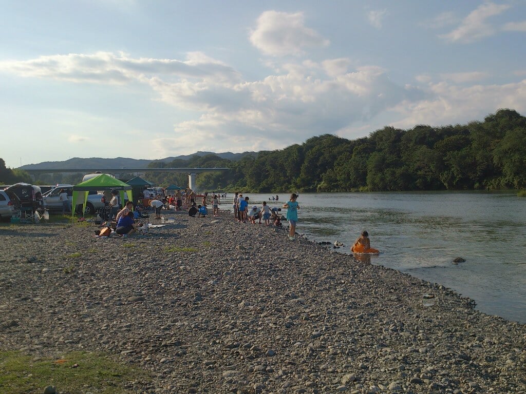 かわせみ河原の写真1