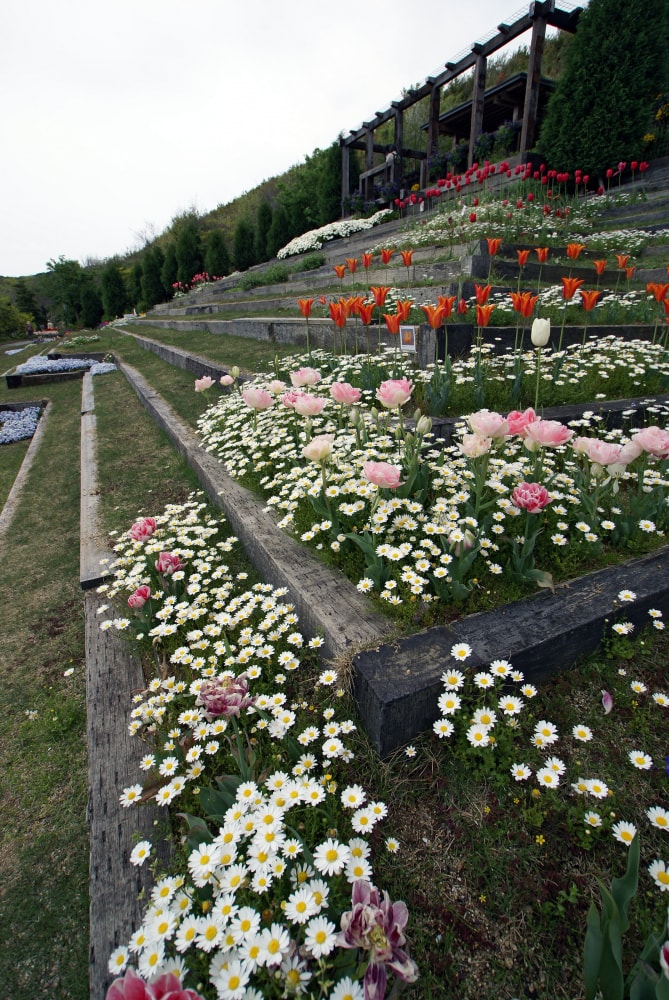 淡路夢舞台の写真2