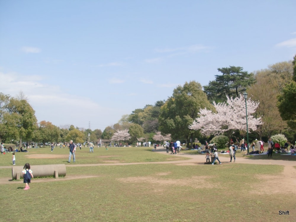 岩槻城址公園の写真3