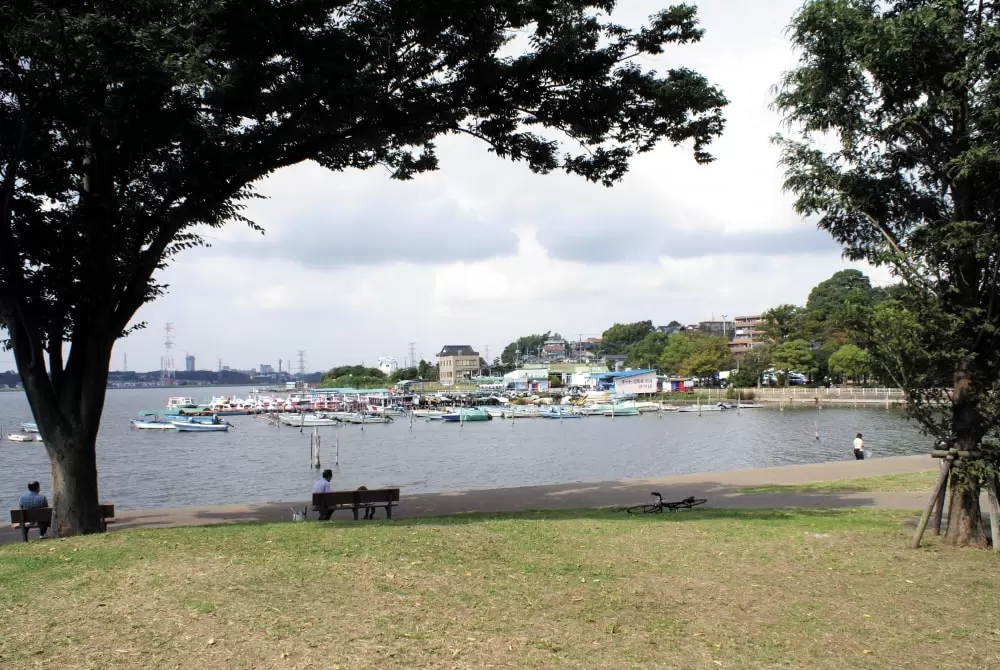 手賀沼公園の写真1