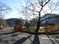 魚梁瀬丸山公園