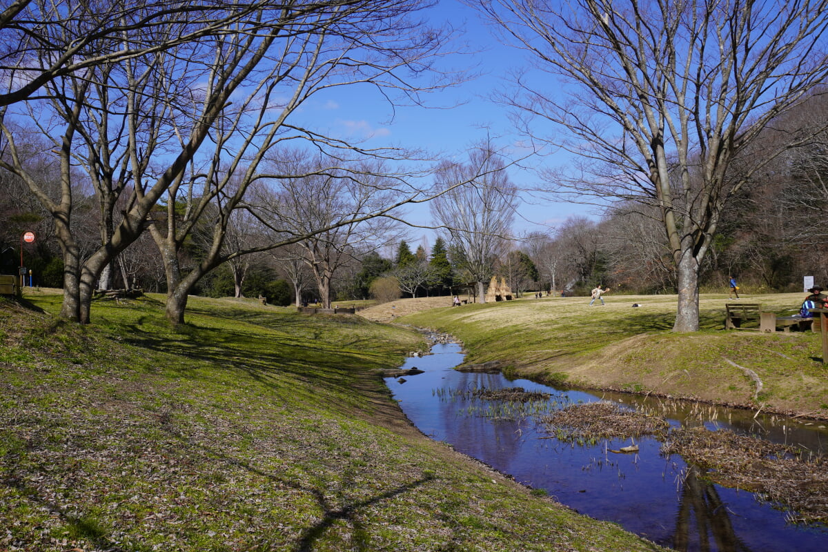 兵庫県立三木山森林公園の写真2