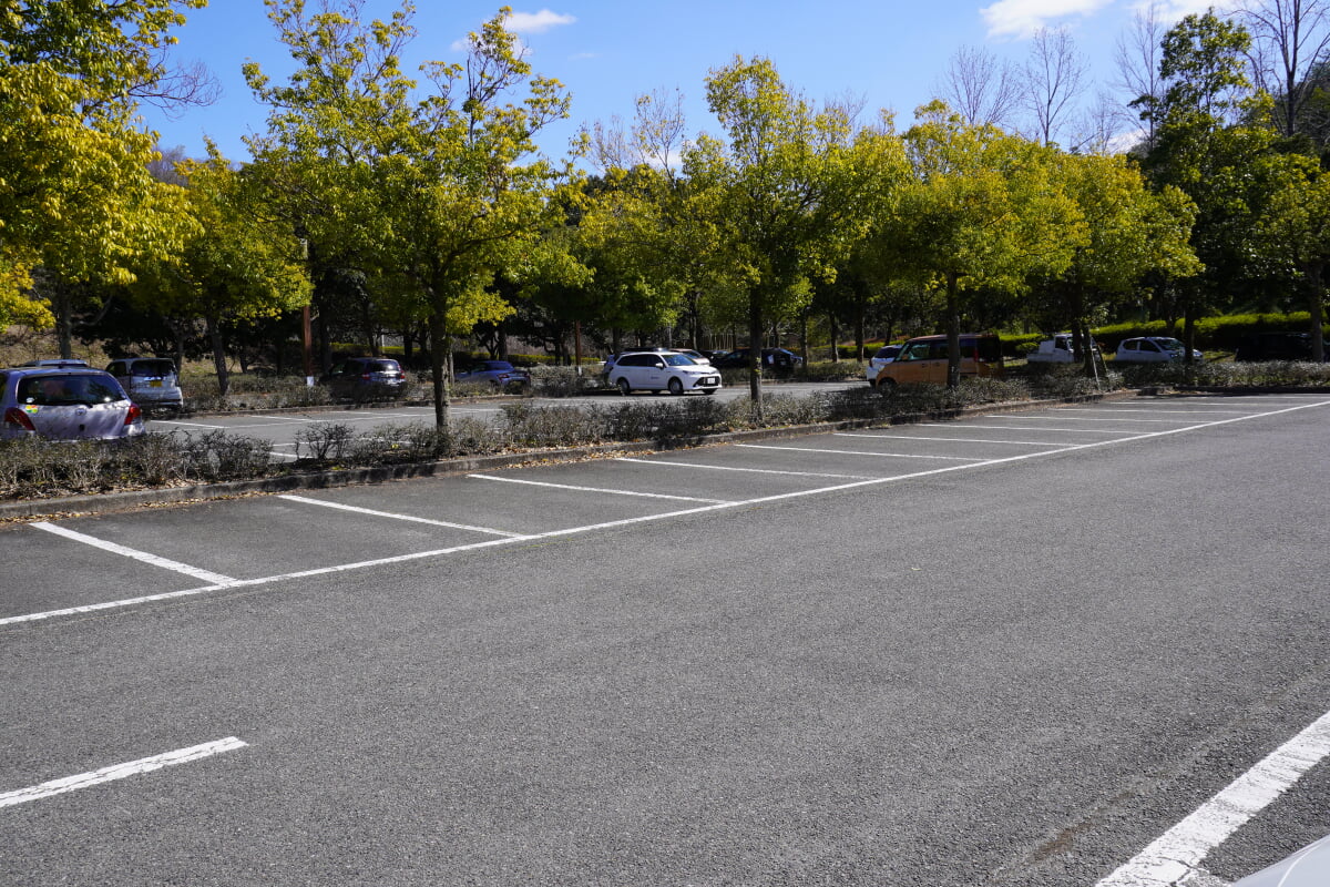 兵庫県立三木山森林公園の写真10