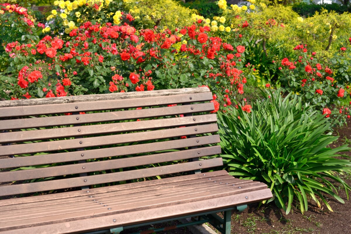 瓦林公園の写真1