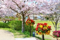 善通寺五岳の里 市民集いの丘公園