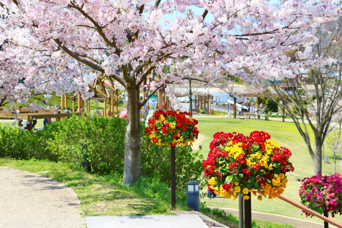 善通寺五岳の里 市民集いの丘公園の写真1