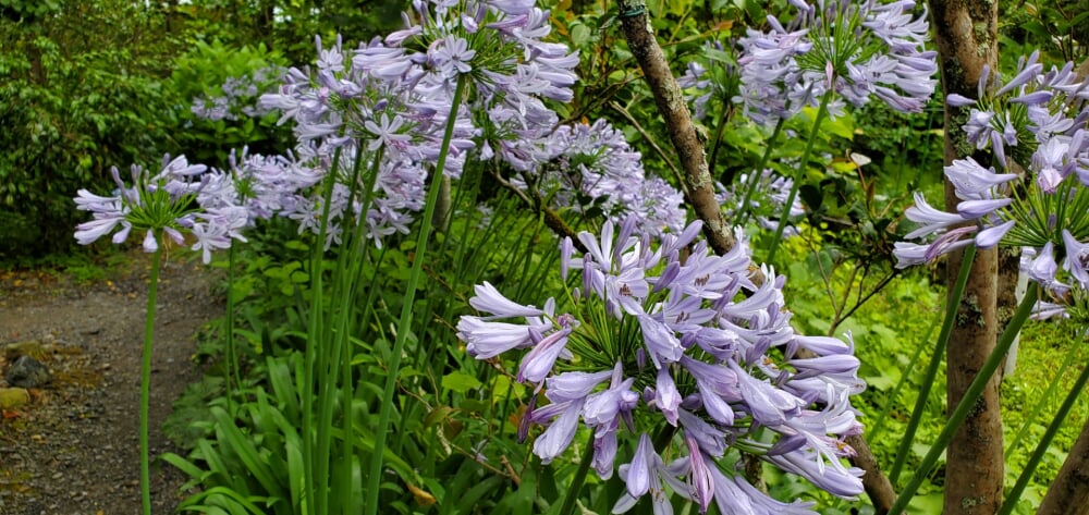 北浦和公園の写真3