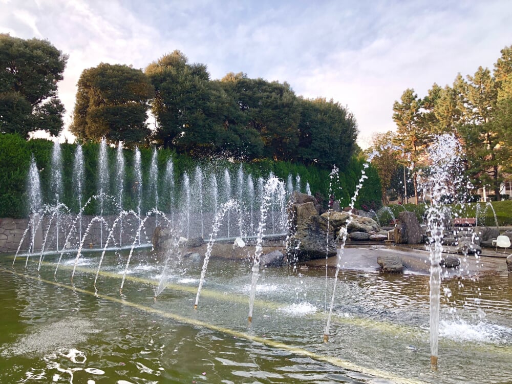 北浦和公園の写真4