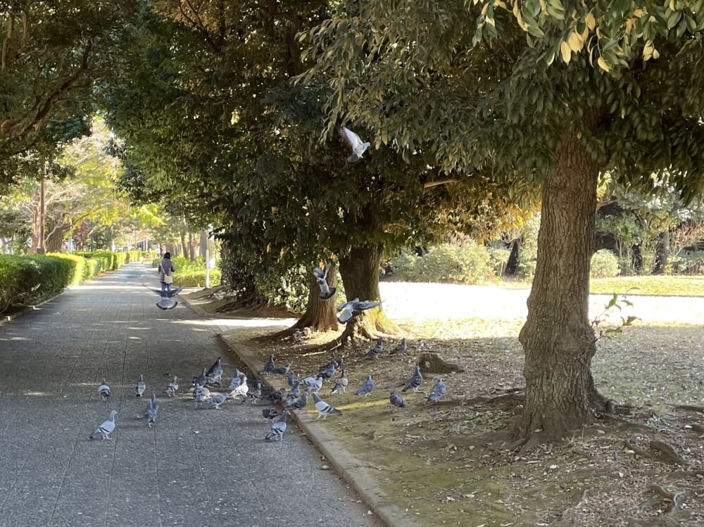 北浦和公園の写真7