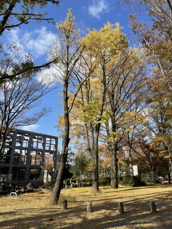 北浦和公園の写真9