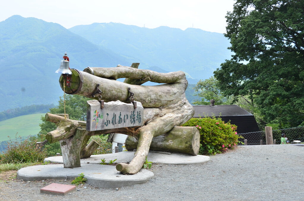 彩の国ふれあい牧場の写真5