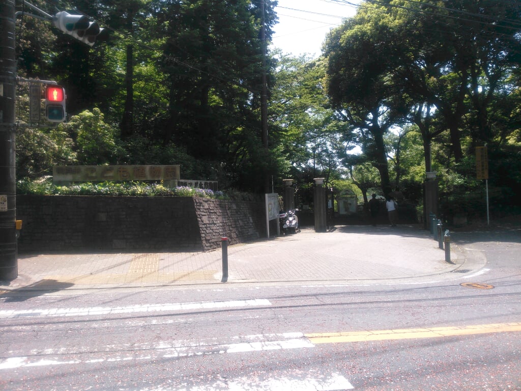 横浜市こども植物園の写真2