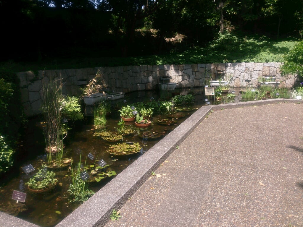 横浜市こども植物園の写真3