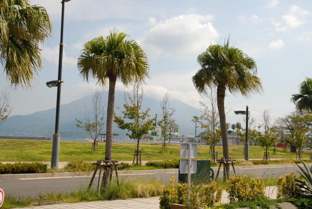 ドルフィンポートの写真2