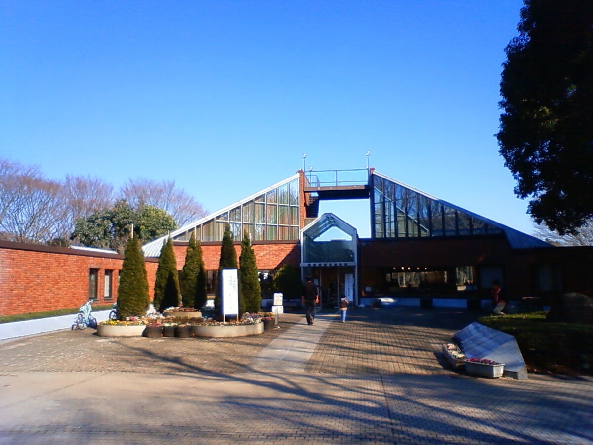 洞峰公園の写真8