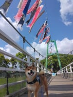 八千代総合運動公園