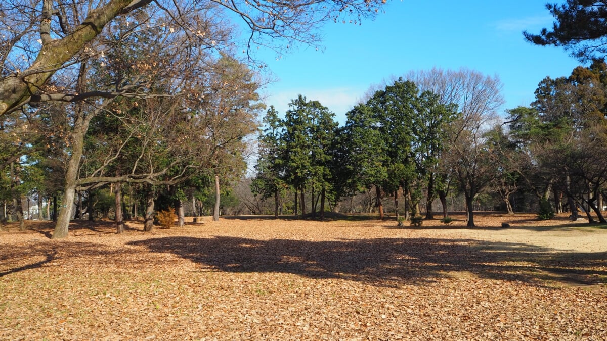 狭山稲荷山公園の写真3