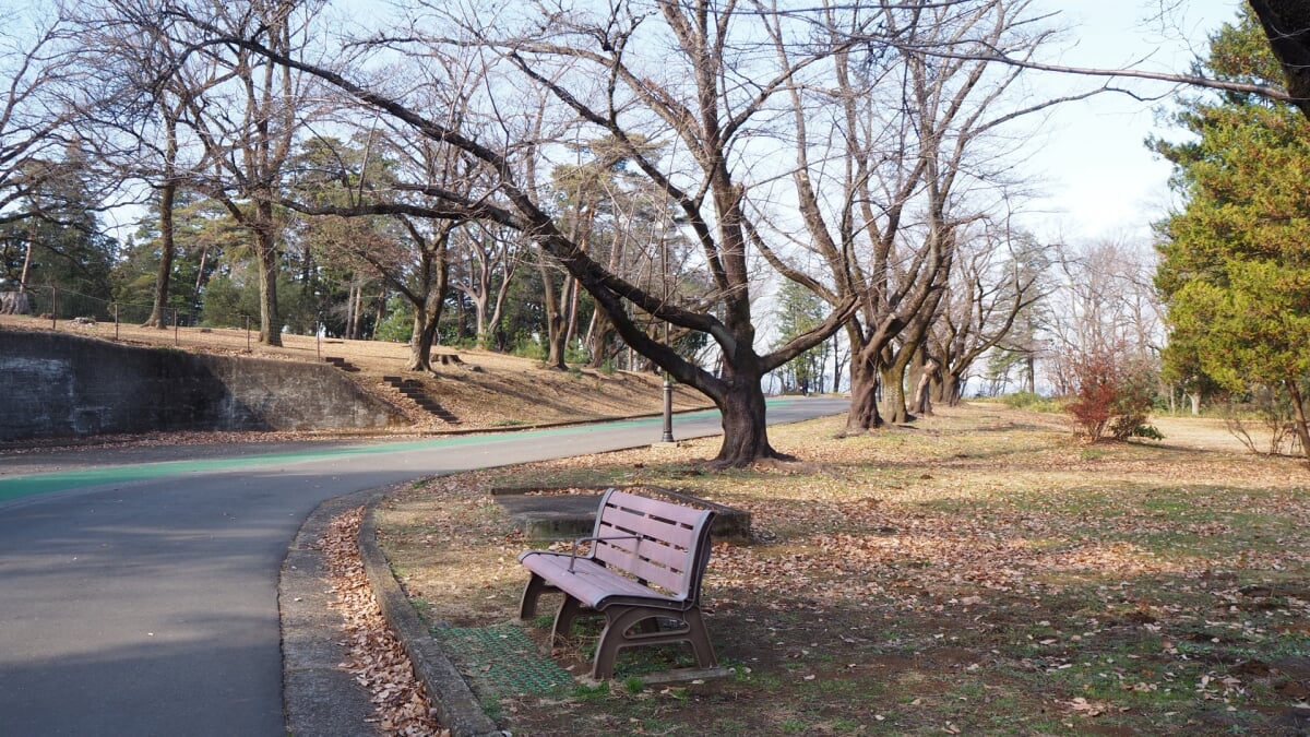 狭山稲荷山公園の写真4