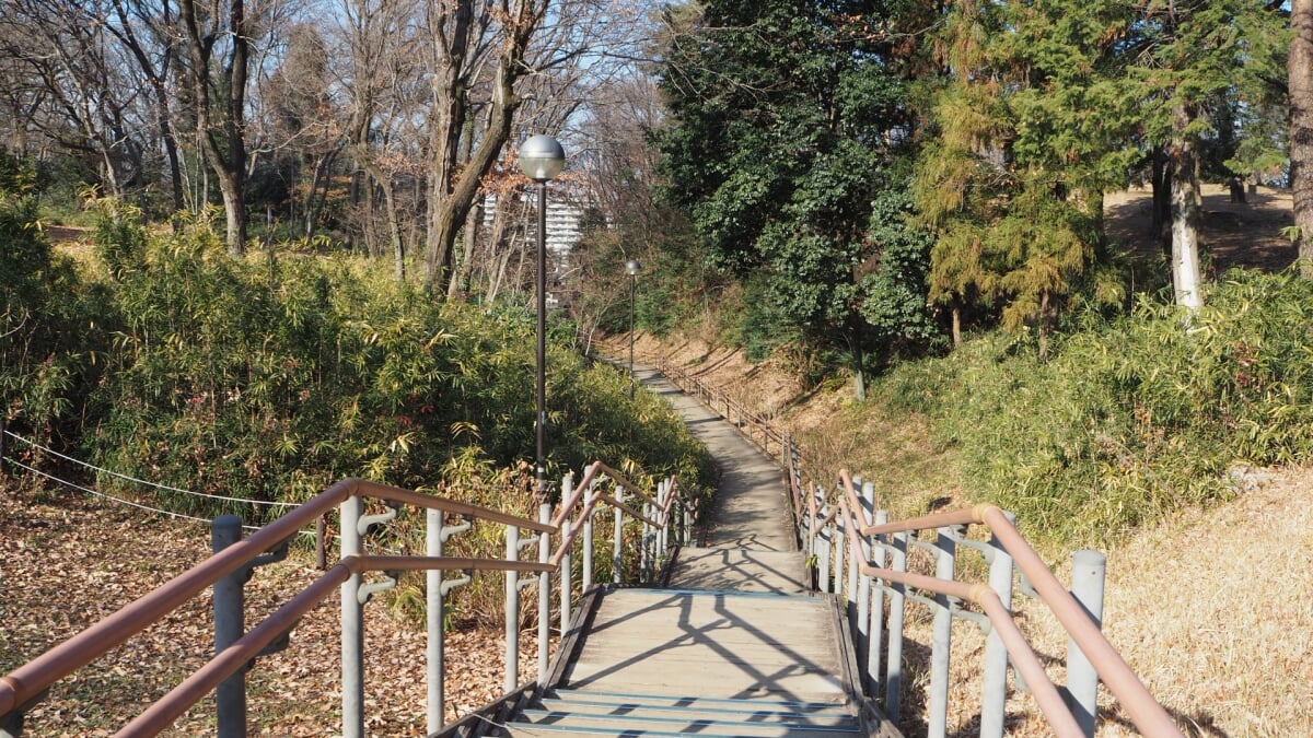 狭山稲荷山公園の写真5